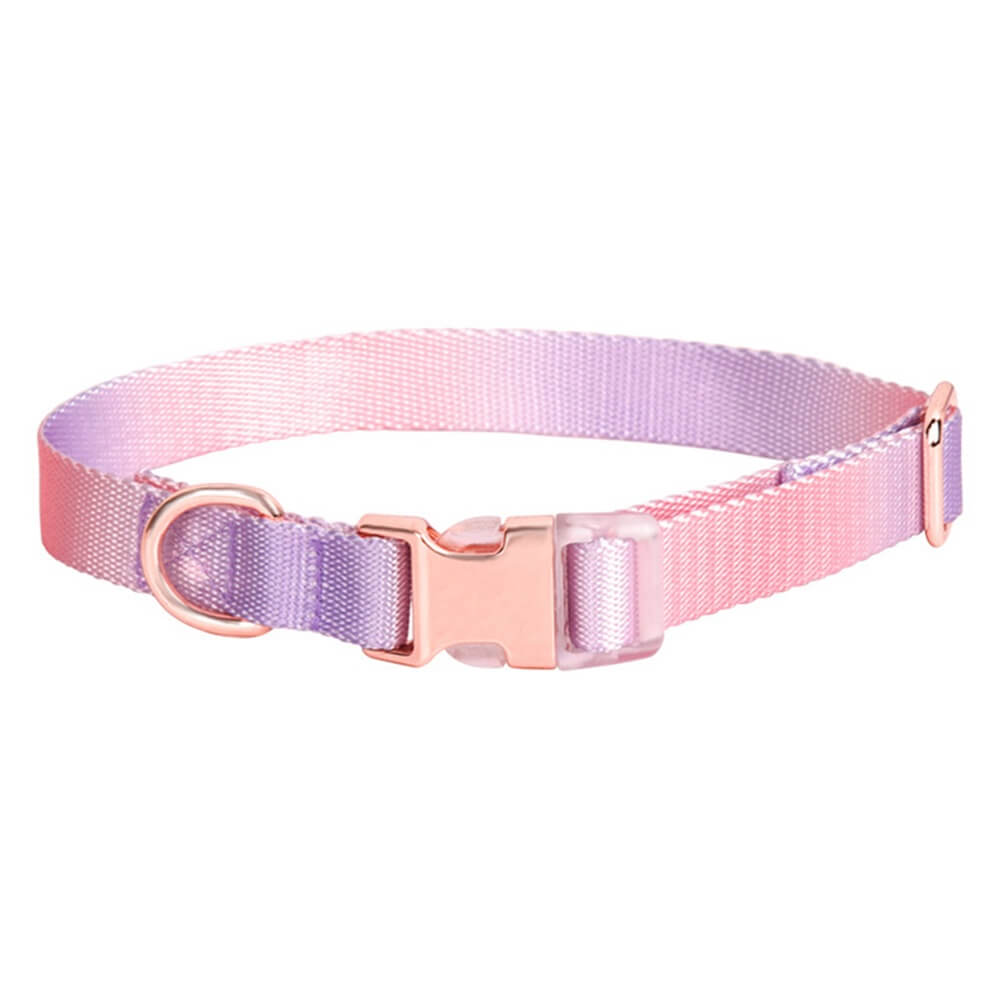 Macaroon Buckle Gradient Nylon Adjustable Dog Collar and Leash