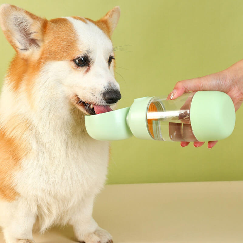 Garrafa de água portátil para cachorro ao ar livre 2 em 1