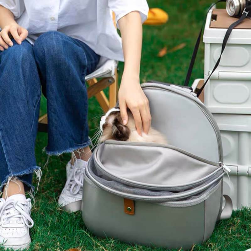 Breathable Portable Folding Travel Designer Pet Carrier Backpack