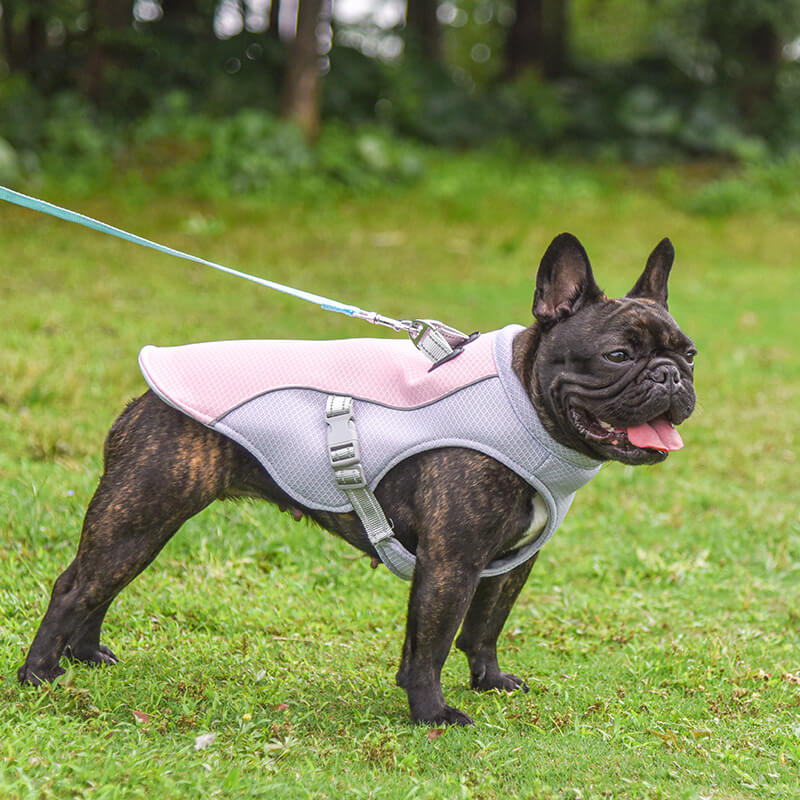 Chaleco transpirable para la prevención de insolaciones Chaleco de enfriamiento para perros empapado en agua