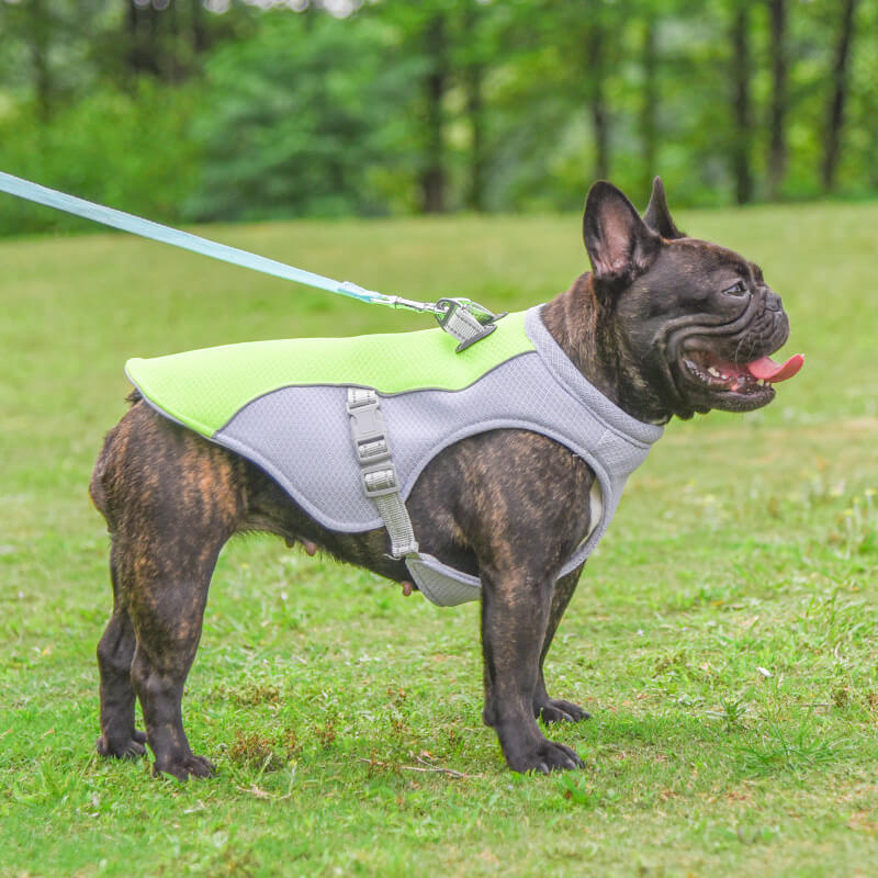 Breathable Vest For Sunstroke Prevention Water-soakable Dog Cooling Vest