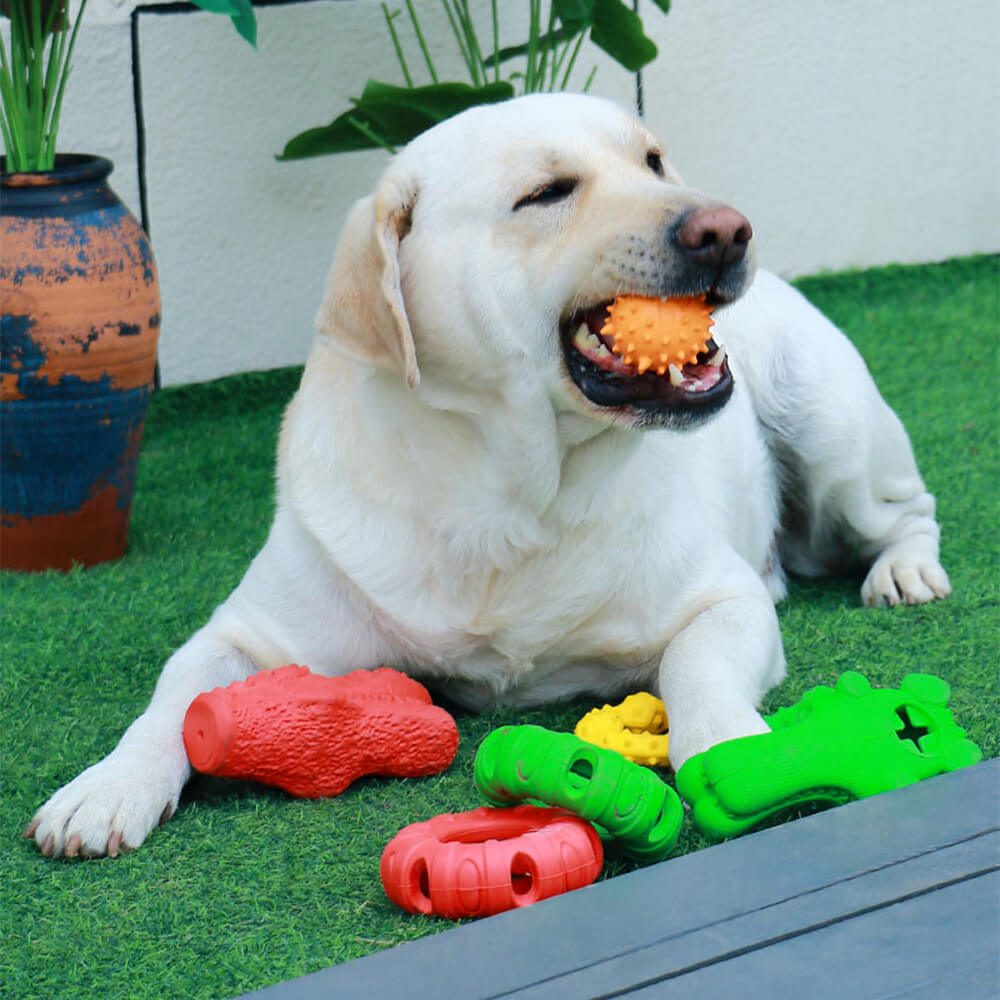 Juguete chirriante interactivo para perros Juguete masticable para la dentición