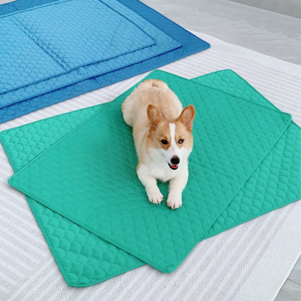 Tapis de refroidissement imperméable double face pour animaux de compagnie