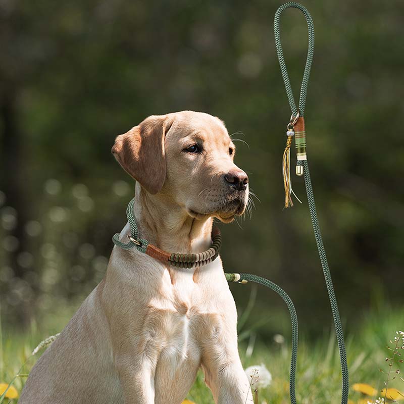 Hand-knitted Braided Rope No Pull Dog Training All in One Leash