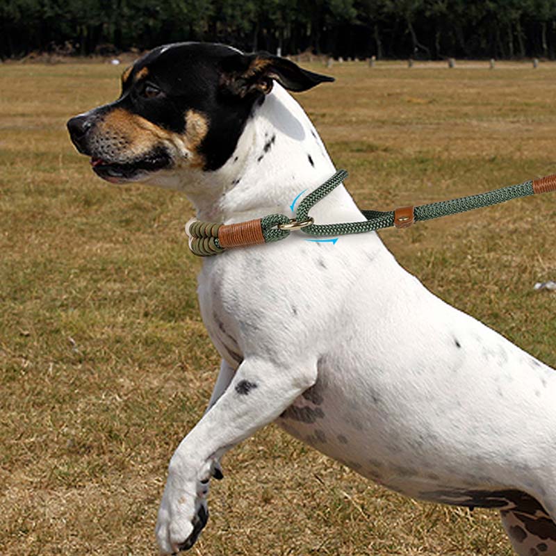 Corde tressée tricotée à la main sans traction pour chien, laisse tout-en-un