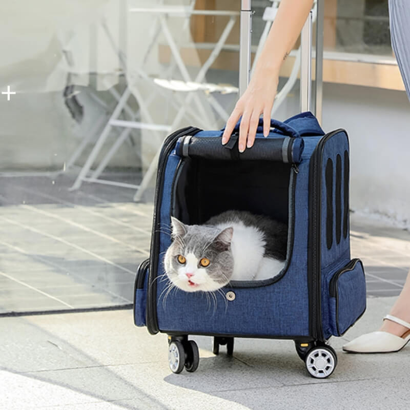 Mochila dobrável multiuso para viagem para gatos, carrinho para animais de estimação Caso