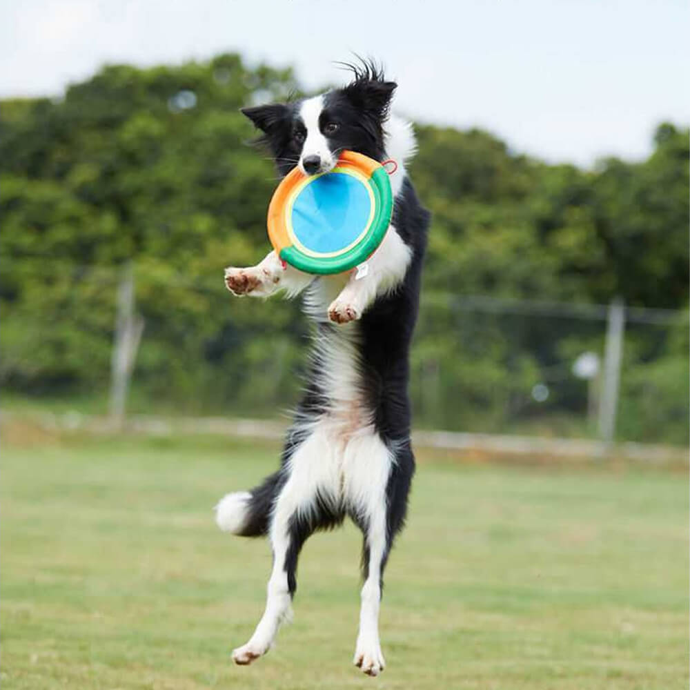 Juguete interactivo para perros al aire libre, disco volador duradero de tela Oxford para perros