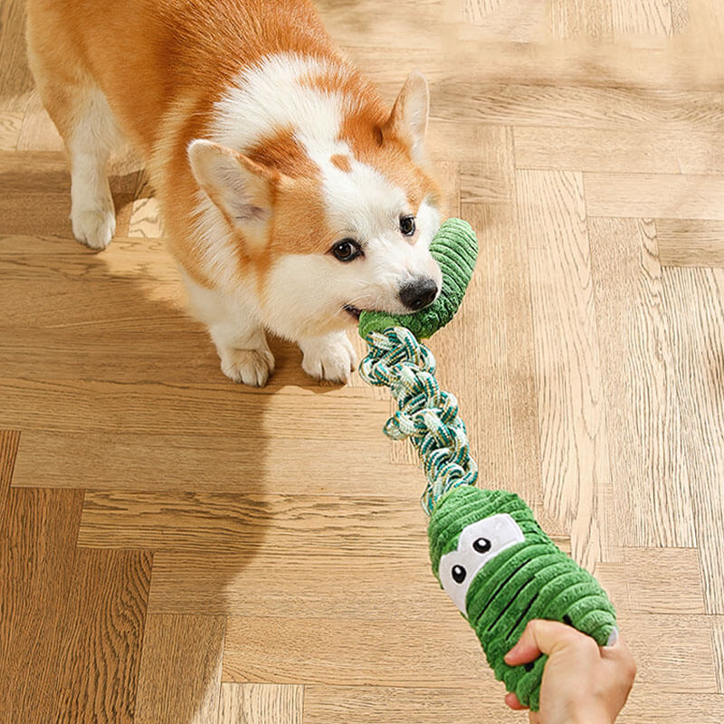 Rope Squeaky Dog Interactive Toy - Animal Series