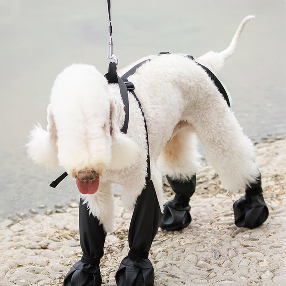 Leggings de bottes antidérapants imperméables pour chien, portables, durables et résistants à la saleté