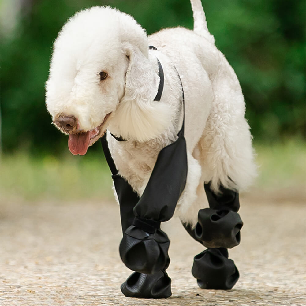 Leggings antideslizantes impermeables para botas de perro: portátiles, duraderos y resistentes a la suciedad