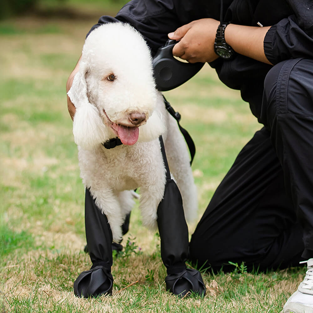 Leggings antiderrapantes impermeáveis ​​para cães - portáteis, duráveis ​​e à prova de sujeira