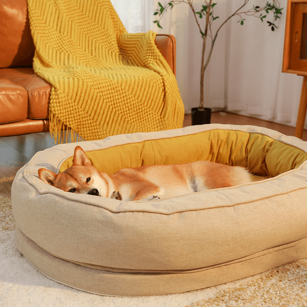 Cama ortopédica para cachorro donut