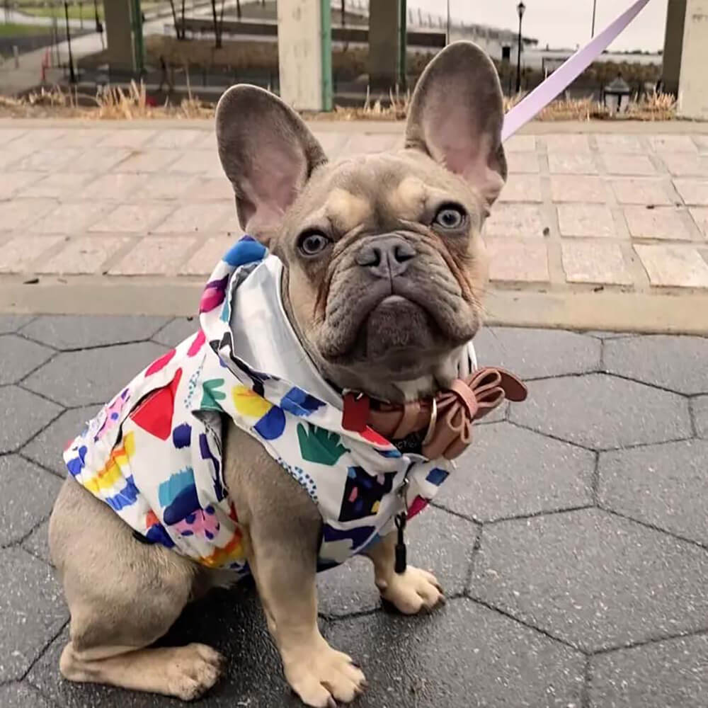 Manteau de pluie imperméable réversible pour chien - Graffiti et irisé