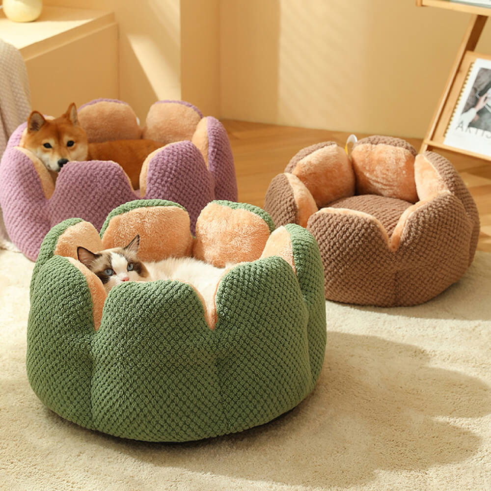 <tc>Cama cómoda para mascotas con forma de cactus</tc>