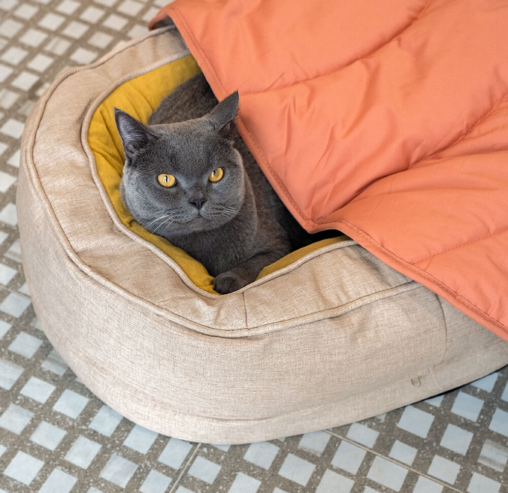 Donut Fluffy Orthopedic Dog Bed