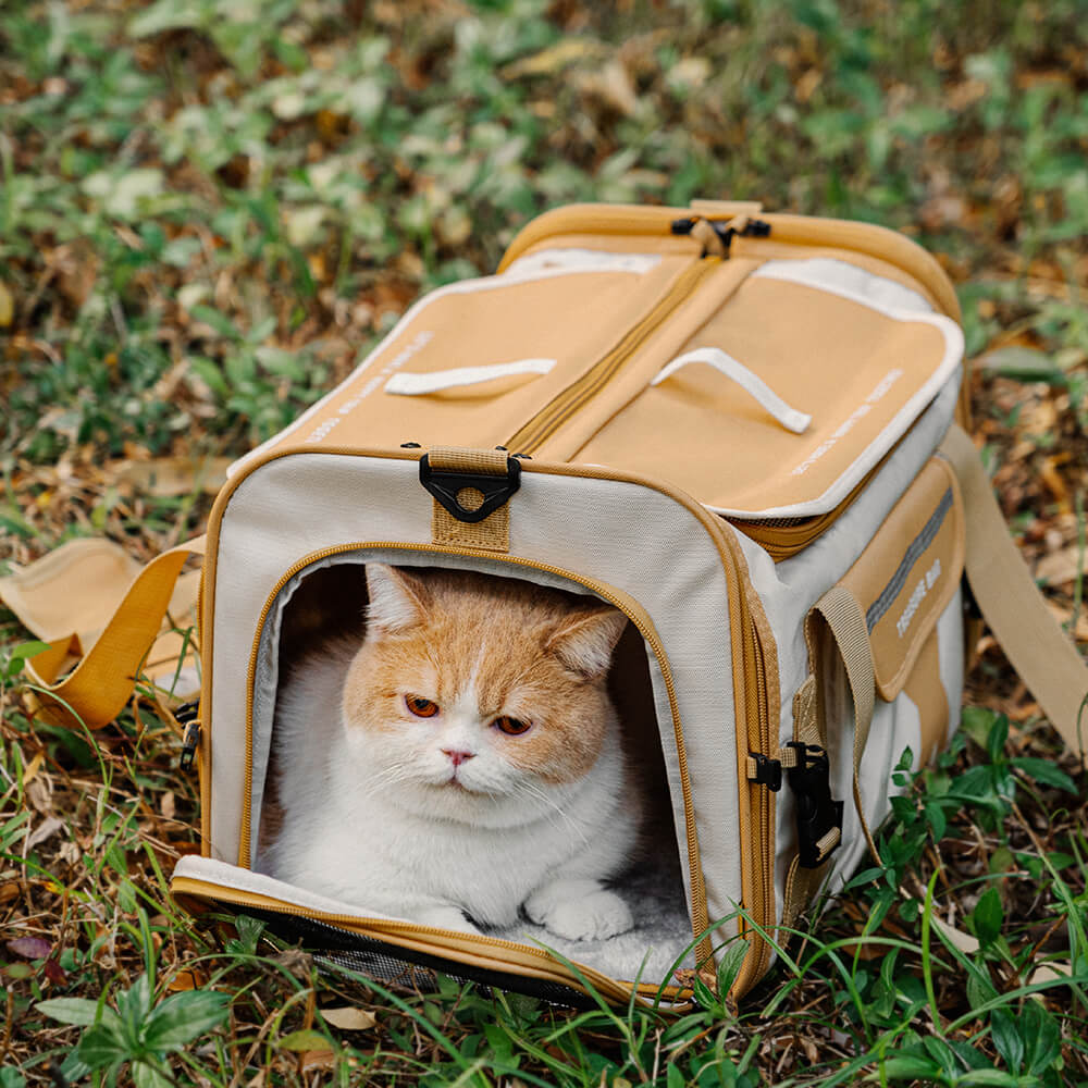 Bolsa de transporte para mascotas de diseño transpirable, plegable y portátil