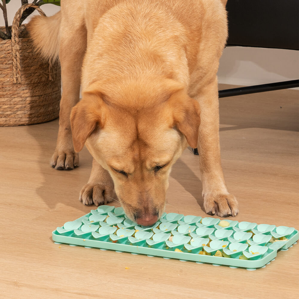 Plántula de silicona con ventosa para perro, juguete para olfatear, comedero lento