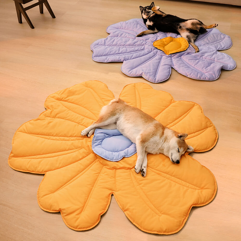 Manta para perros con forma de flor súper grande para humanos