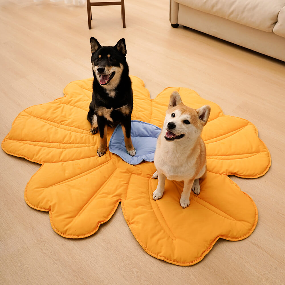 Manta para perros con forma de flor súper grande para humanos