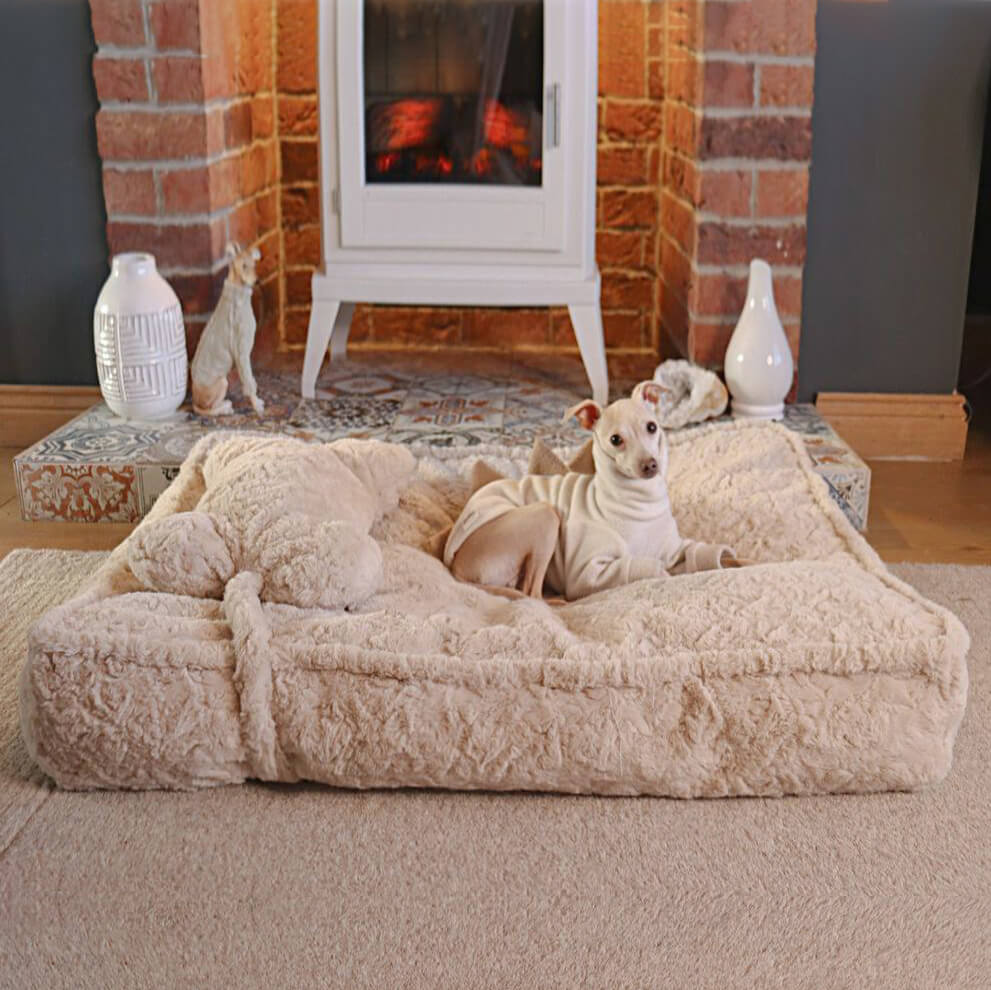 Warming Fluffy Bone Cloud Shape Calming Dog Bed