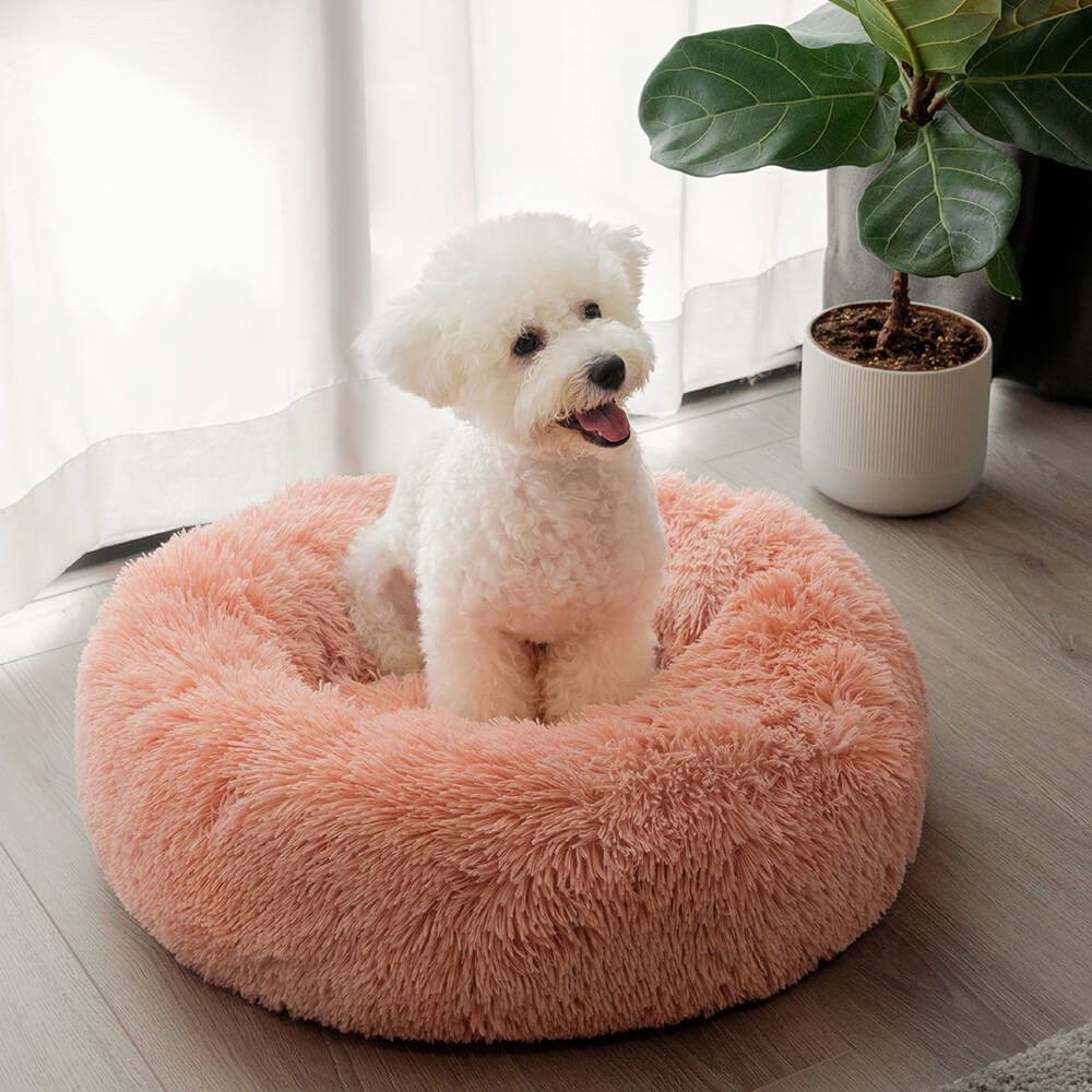 Lit rond et moelleux pour chien