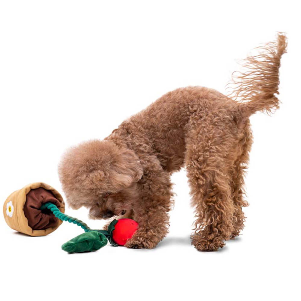 Plüsch-Quietschspielzeug für Hunde – Erdbeertopf