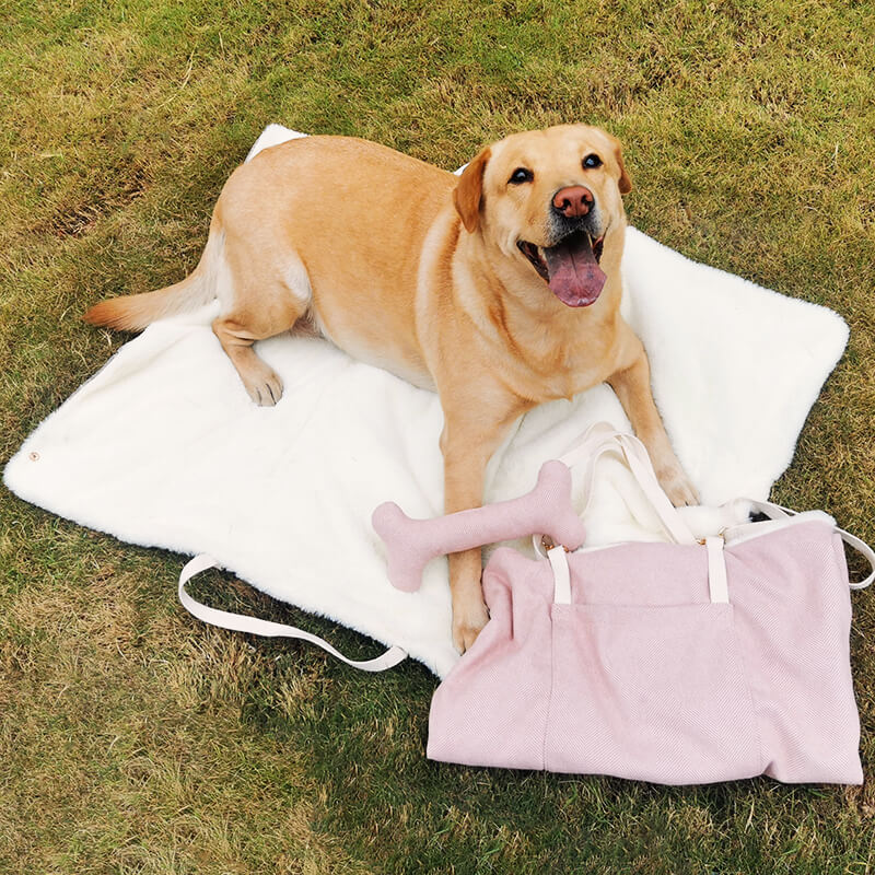 Portable Dog Mat