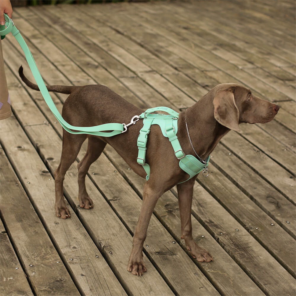 Gummy Dog Harness