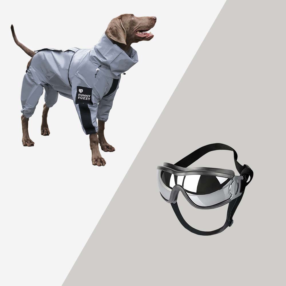 Manteau de pluie réfléchissant imperméable à l'eau pour tous les temps, accessoires pour chiens frais